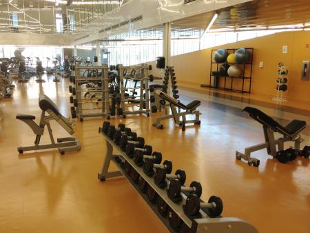 Strength Area Multi-Functional Training Areas