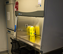 Biosafety Cabinet 1